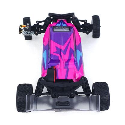 TOUCAN RC HOBBY Hobby Plus 1/24 2WD RC Desert Car Remote Control Off Road Vehicle Speck-B RTR Motor 28A ESC 5G Servo No Light Sound System