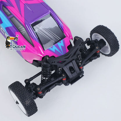 TOUCAN RC HOBBY Hobby Plus 1/24 2WD RC Desert Car Remote Control Off Road Vehicle Speck-B RTR Motor 28A ESC 5G Servo No Light Sound System